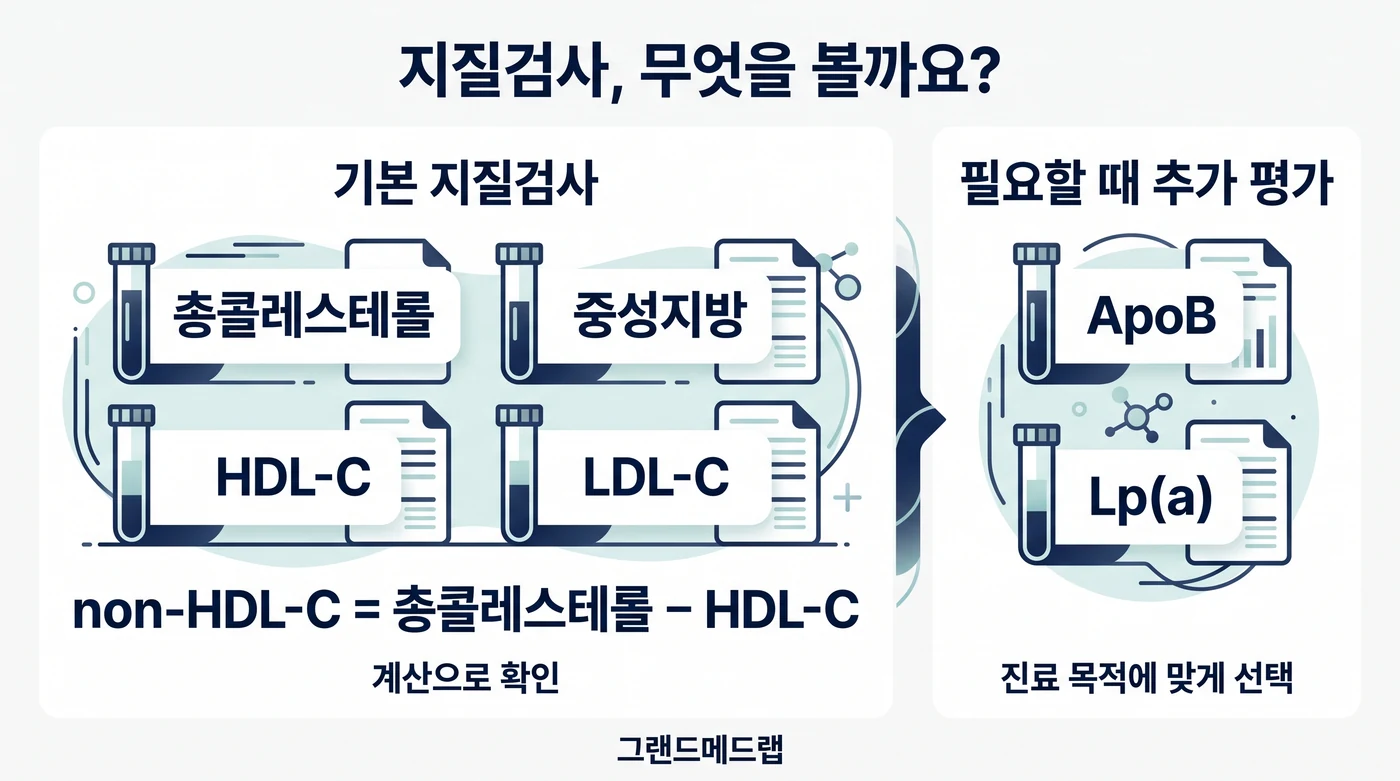기본 지질검사 총콜레스테롤·중성지방·HDL-C·LDL-C와 non-HDL-C 계산, 진료 목적에 맞게 선택하는 ApoB·Lp(a)를 구분한 AI 설명 그림
