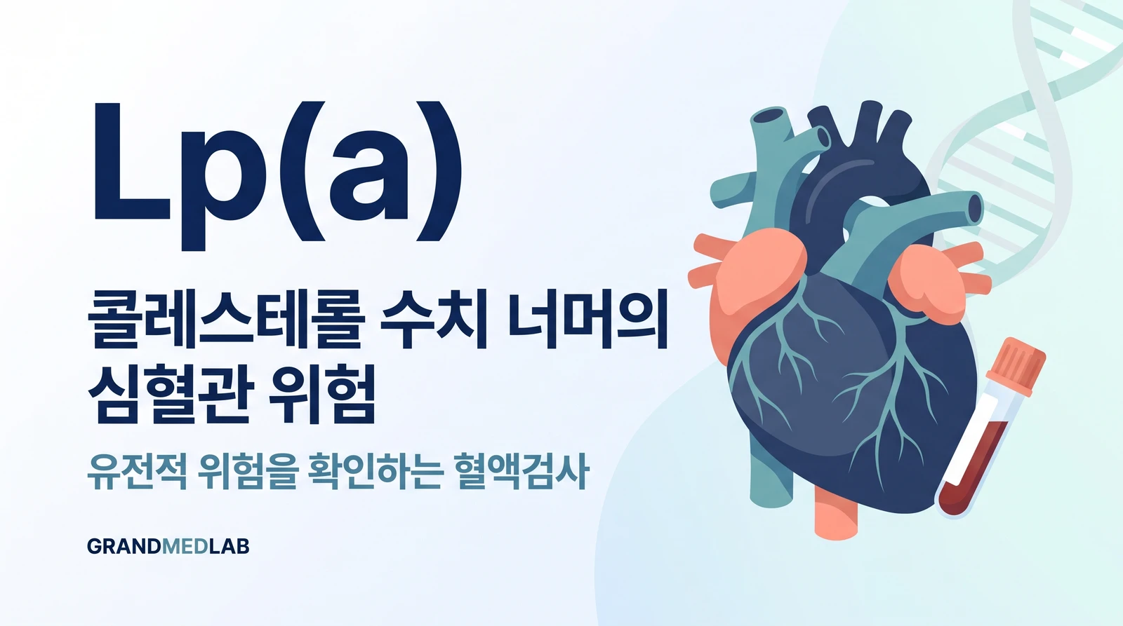 Lp(a) 검사와 유전적 심혈관 위험을 심장·혈액검체·DNA로 설명하는 개념 그림