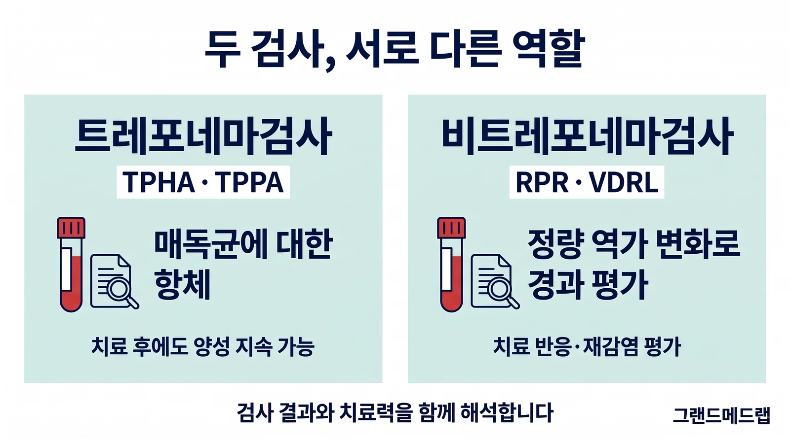 트레포네마검사는 매독균에 대한 항체를, RPR·VDRL 비트레포네마검사는 항체 반응과 변화를 평가한다는 비교 그림